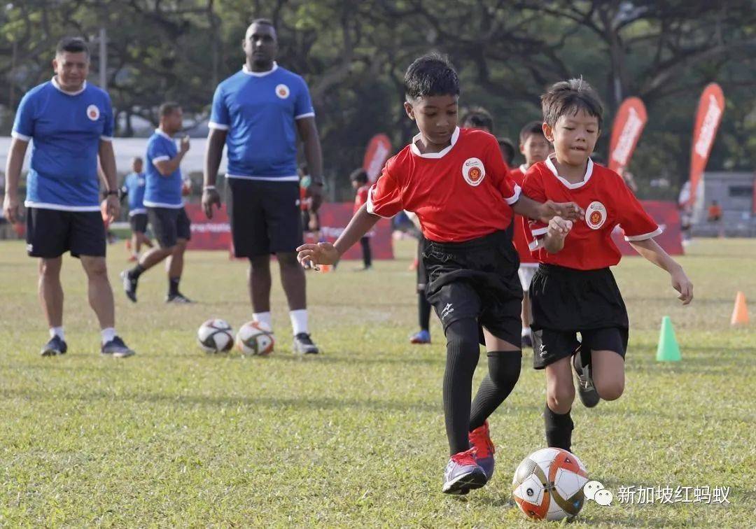 中国足球砸钱也没在世界十强之列　新加坡想重做世界杯的梦，还是现实一些