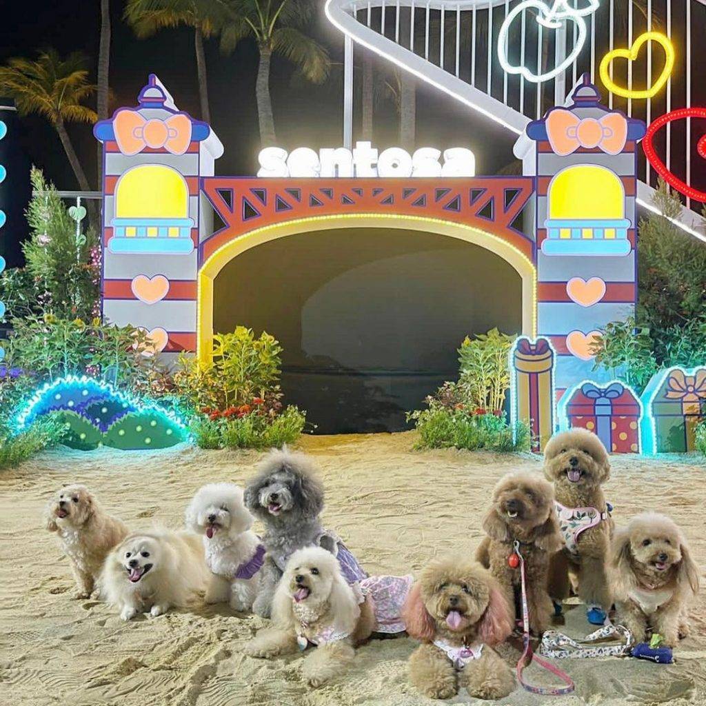 夜猫出游🔛 10大夜间娱乐活动，开启嗨皮夜生活！玩转新加坡密室、保龄球、超夯货柜