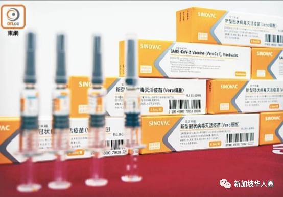 中国科兴疫苗为何没批准就被送到新加坡？原因竟然是