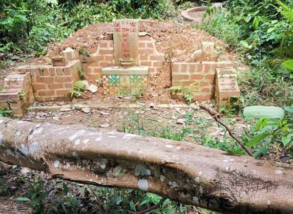 祖坟被野猪撞毁 家属忧破坏“家运”