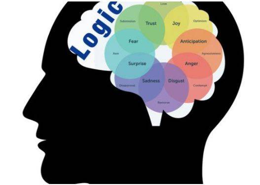 双语教育的好处，1+1>2