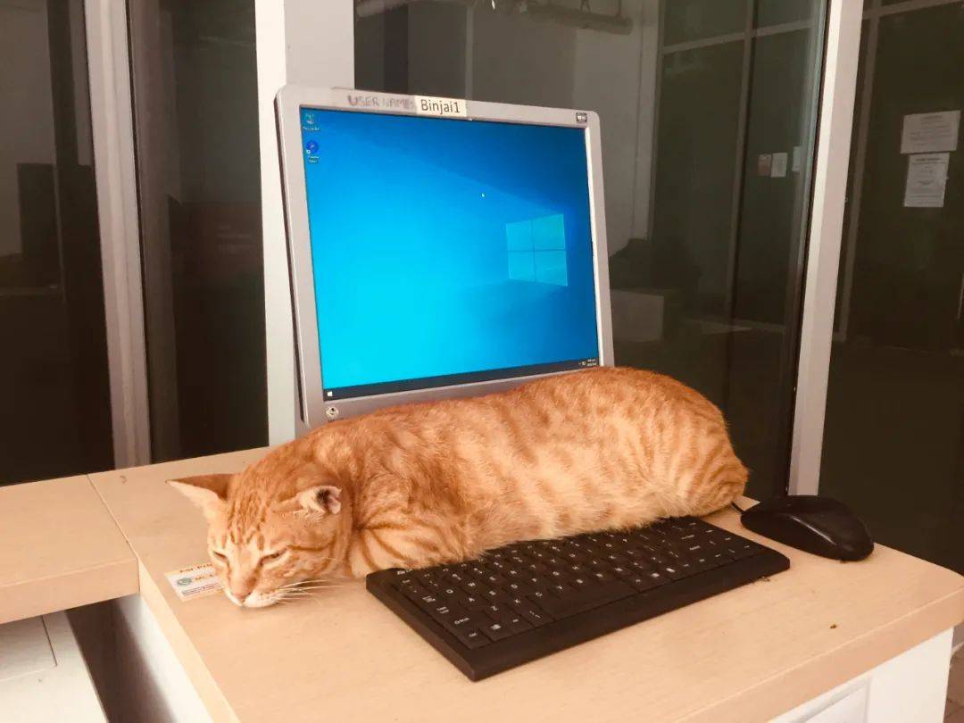 南洋理工大学，每一帧都很美