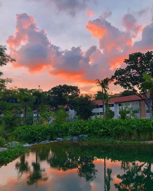 南洋理工大学，每一帧都很美