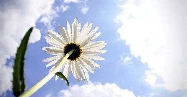 只有初中学历,我是如何在新加坡生存下来的