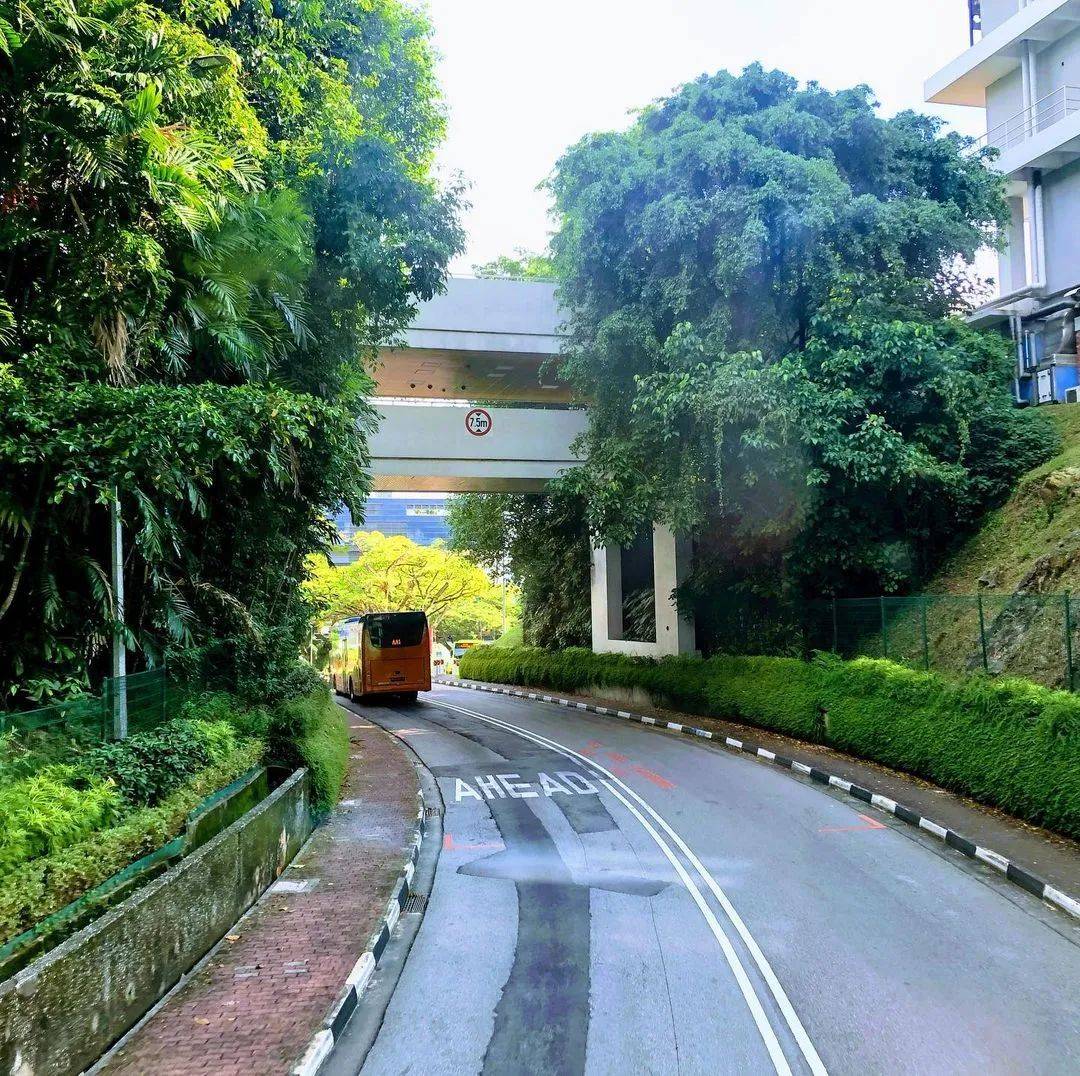 人间四月,来感受新加坡国立大学的春天