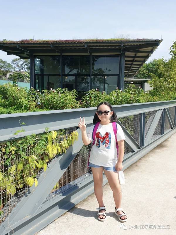 新加坡也有温泉 三巴旺温泉公园