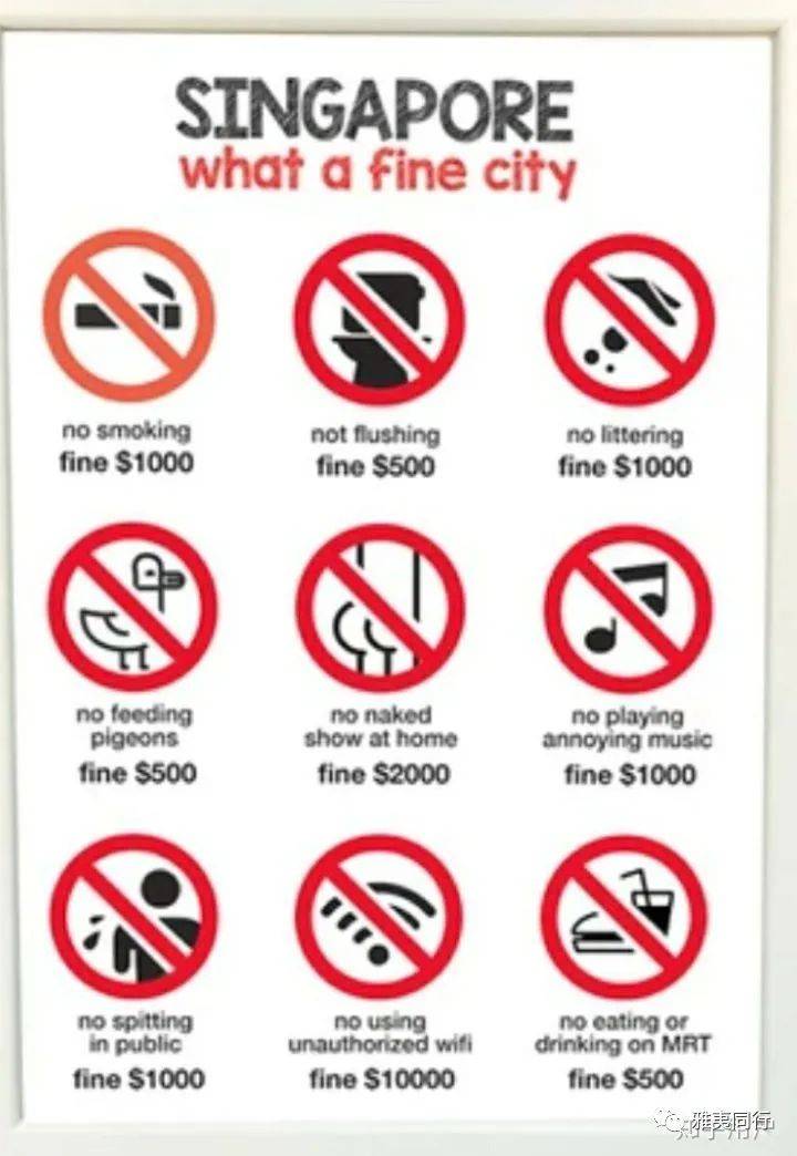 到新加坡旅游留意28条法律,避免踩雷还能省钱,破财事小,坐牢事大