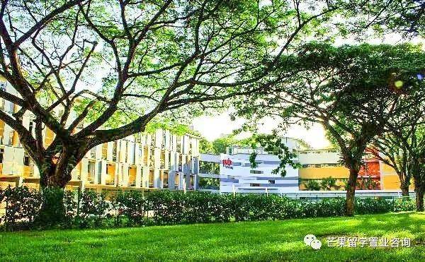 新加坡三育中小学无需参加AEIS考试入学（留学、升学及申请条件）