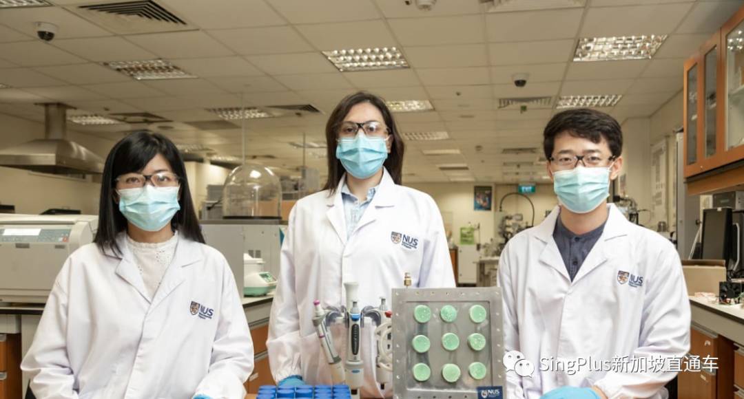 卫生部更新辉瑞疫苗接种指引；雇主推出疫苗援助计划