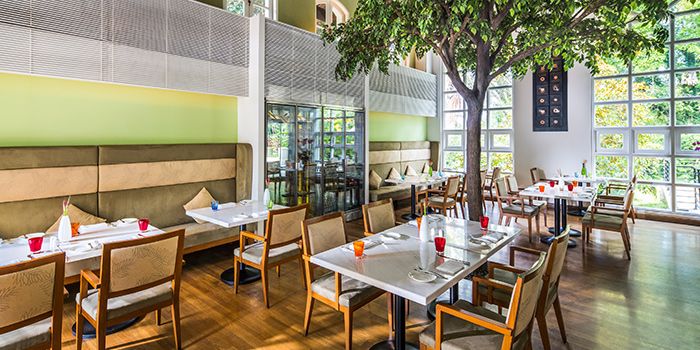 the_garden_interior_jpg_1450251855