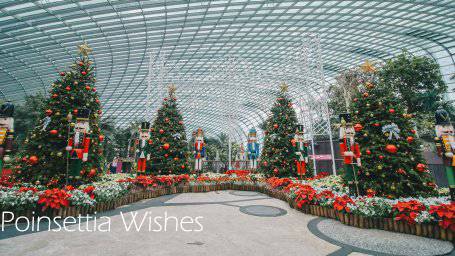 来新加坡，过一个暖暖的圣诞季