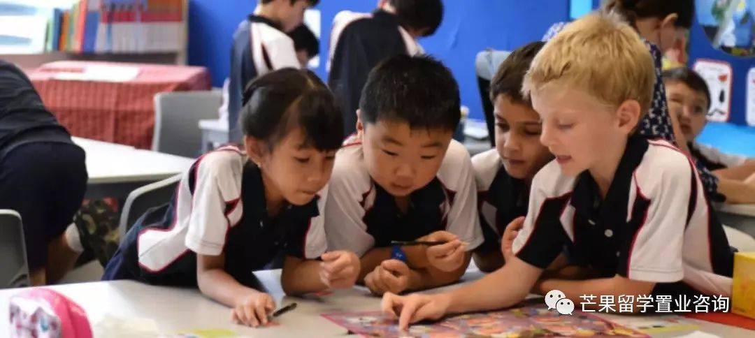 “明星国际学校”——新加坡史丹福美国国际学校