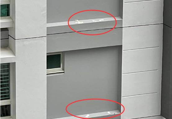 新加坡组屋区卫生巾、纸巾频频从天而下，难道又被野鸡占领