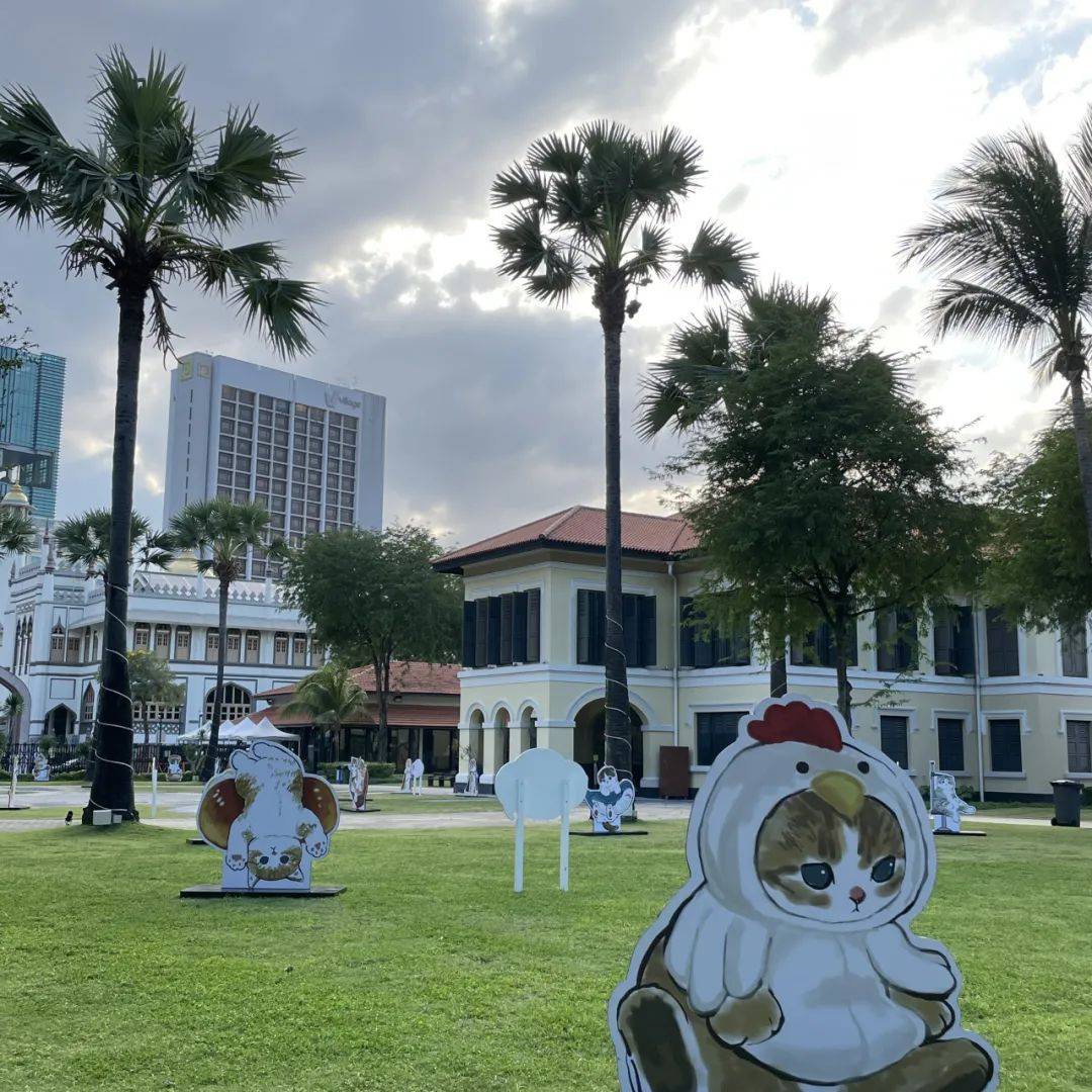 超可爱！马来文化遗产中心惊现多只猫咪