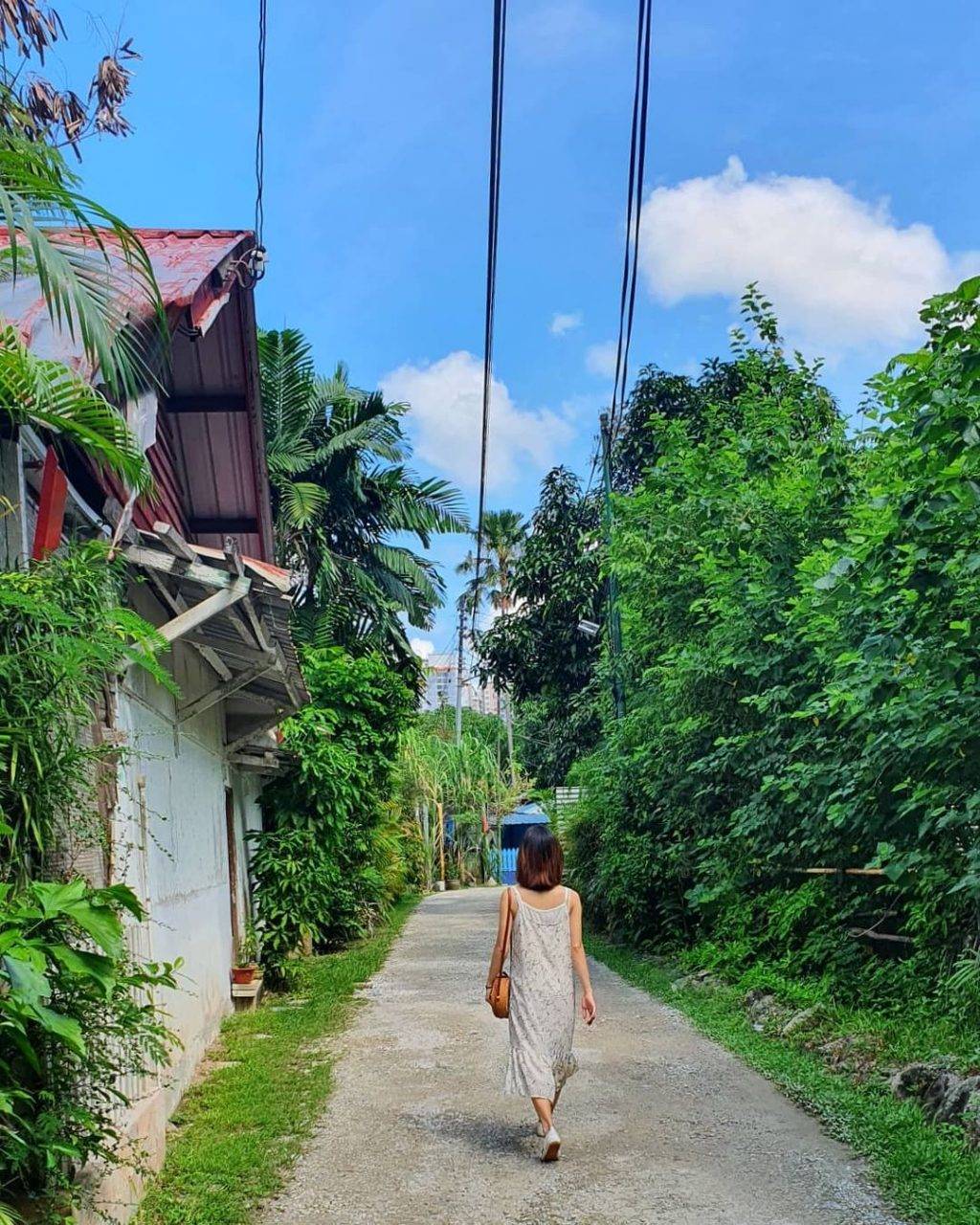 秘密景区！新加坡8座遗忘的角落🌂 徒步旅行好去处！消失的水库、战争遗物、遗弃古迹