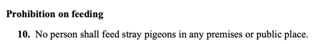 四人在新加坡喂野猪犯法，共被罚1万新币！这些罚款规定太多人踩雷