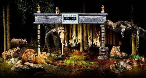 玩转新加坡！八个必去的旅游景点