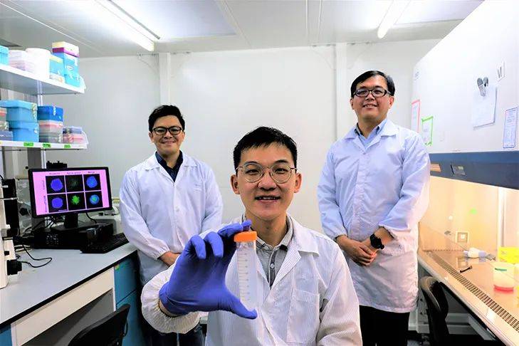 2020，南洋理工大学这一年