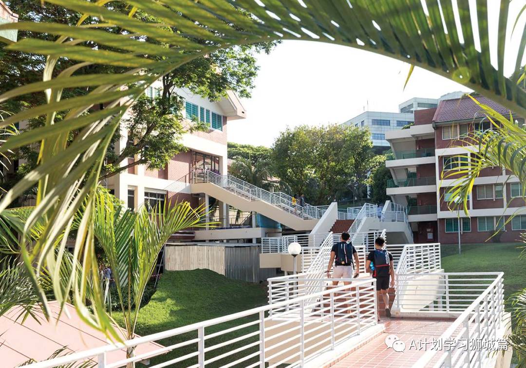 新加坡国大、南大及新大近三年理工成绩录取状况汇总(2021)