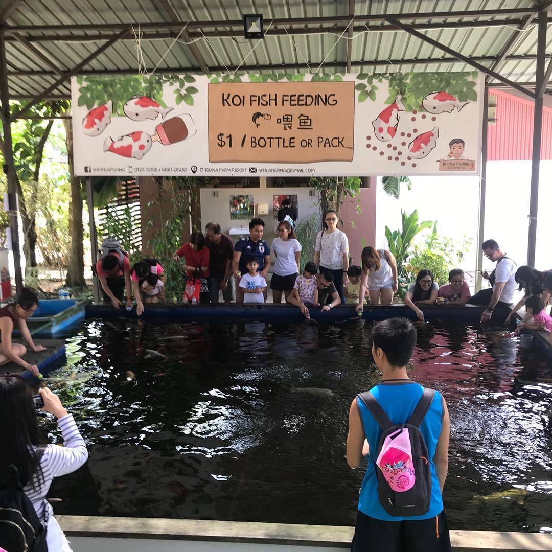 新加坡“垂钓”中心，钓虾、鱼、蟹好去处🐟🦐🦀️ 现钓现烤现吃+冷气房钓虾+24小时营业