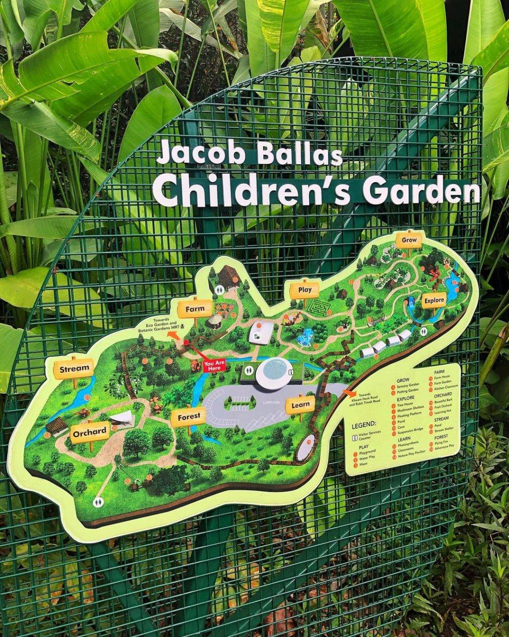 快乐天堂✨ 全亚洲最大儿童花园！花园城市里的一片绿洲🌳 吊桥、树屋、空中漫步，周末撒野去