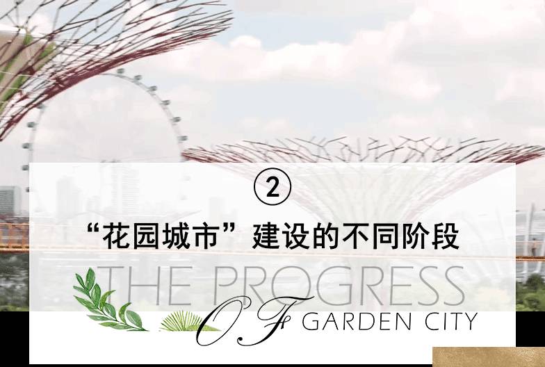 将自然引入城市：新加坡“花园城市”背后的故事
