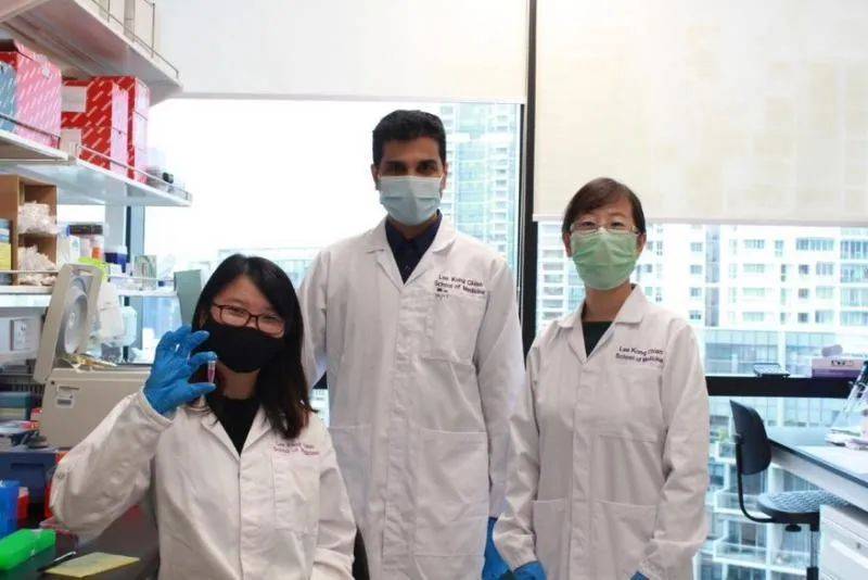 新加坡南洋理工大学科研人员研制口服胰岛素，有望取代注射胰岛素