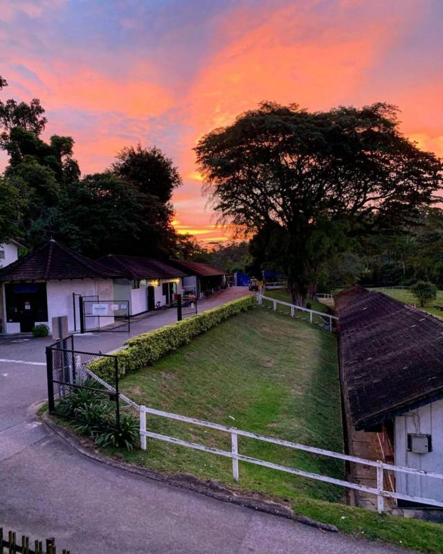 新加坡隐世咖啡厅！藏在马场里的Riders Cafe🐎 来一场慵懒偷闲早午餐，治愈那颗想旅游的心