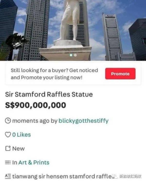 新加坡卖家在网购平台恶搞，以天价出售“星耀樟宜”等景点，被强制下架