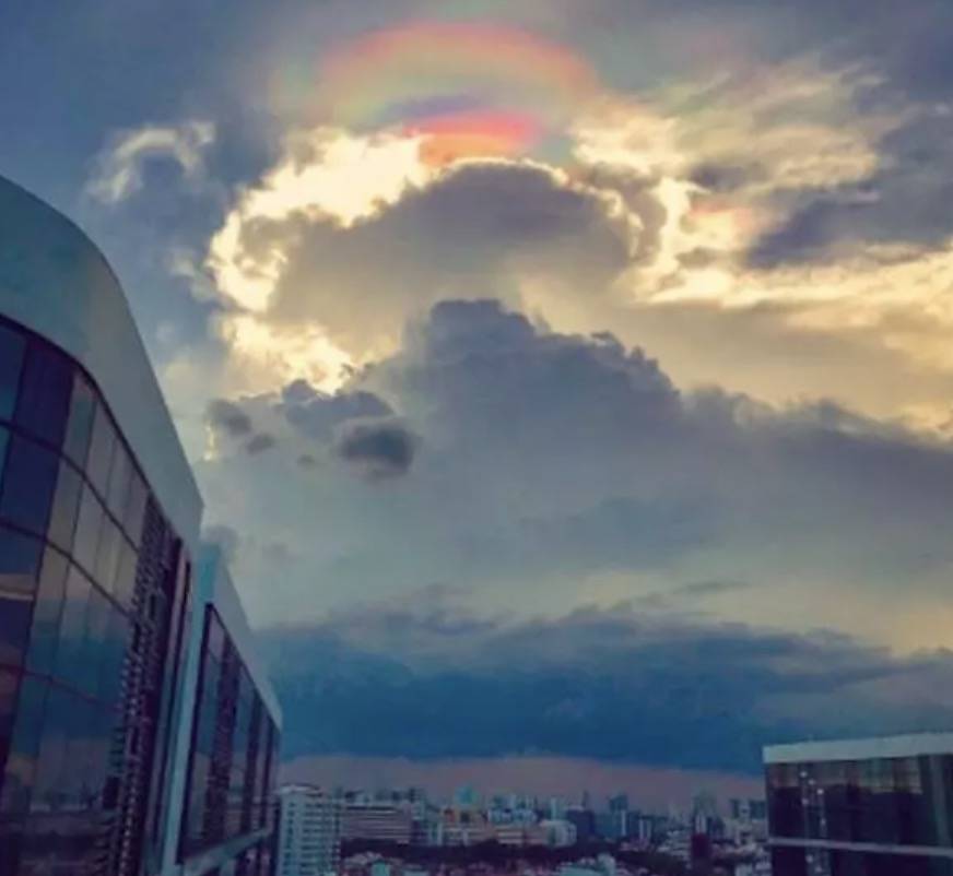 罕见!新加坡圣淘沙这条河变成了粉色,惊现大批死鱼!39年创记录暴雨太作了