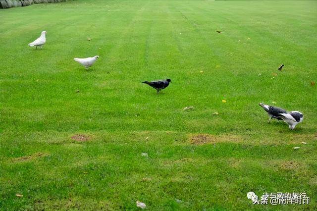 蔡德林：用手机占座位的新加坡