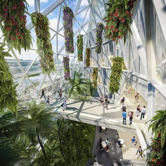 新加坡樟宜机场全方位解读