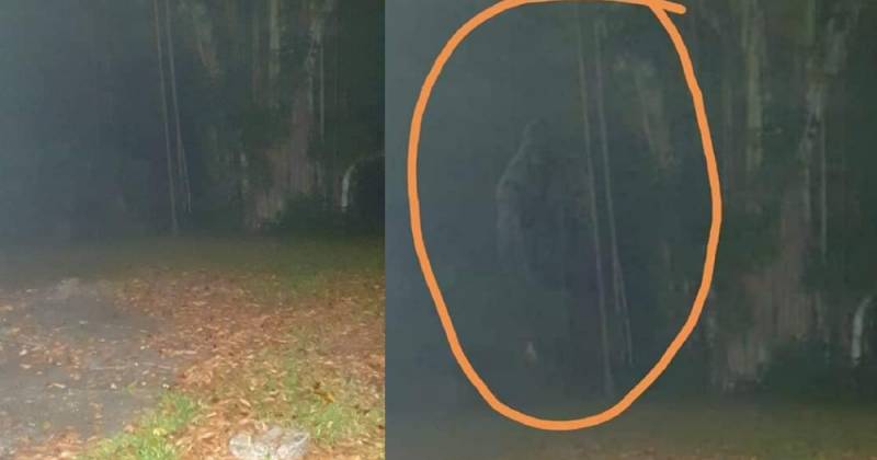 细思恐极！新加坡夜间徒步爱好者声称遇上了“武吉知马猴人”，还拍下了照片