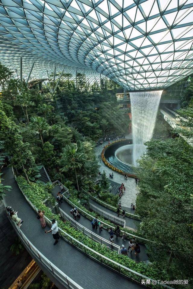 凭什么去新加坡都为它刷屏