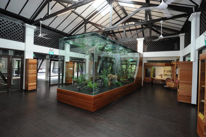 14633264_1212499605456180_8280401824314413657_o