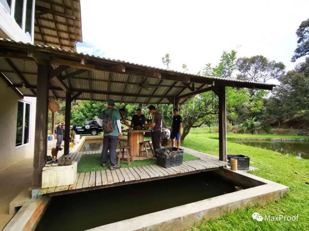 新加坡自由行 狮城人气景点走起