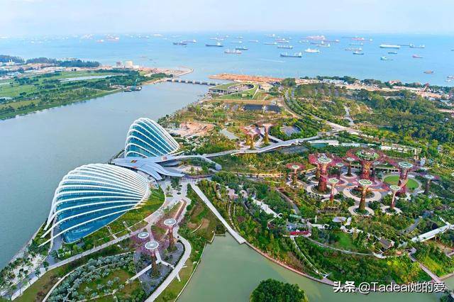 凭什么去新加坡都为它刷屏