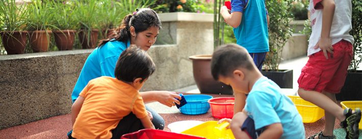 bibinogs-feature-image