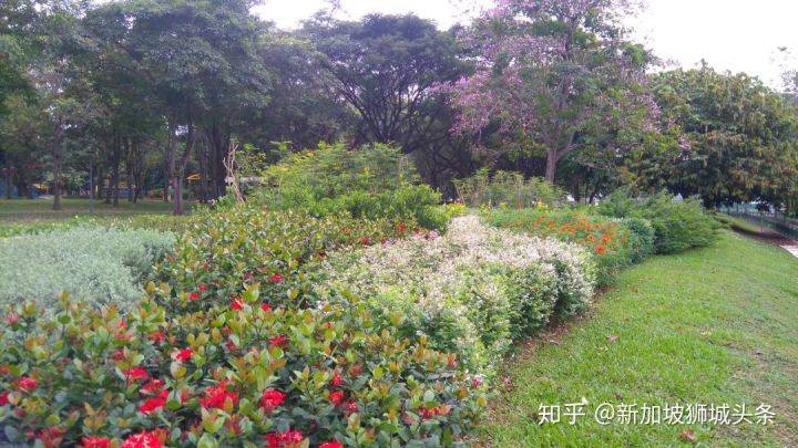 淡滨尼 Tampines: 嬉耍玩乐怎么玩?新加坡最强攻略