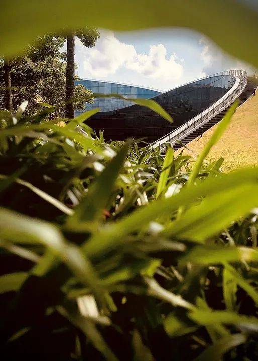 南洋理工大学，每一帧都很美