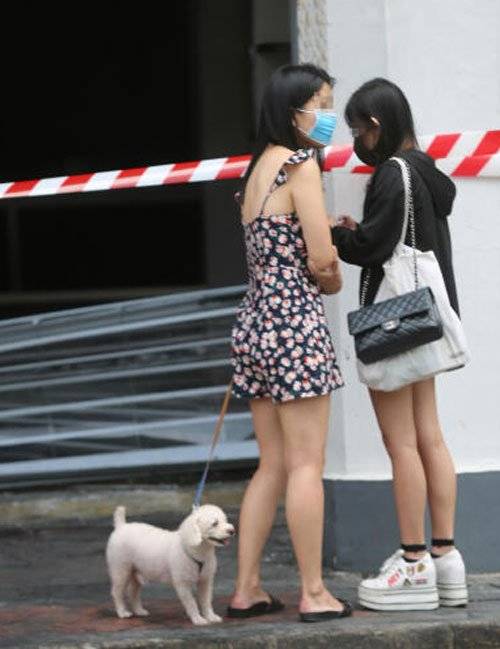 ◤宝马撞店◢ 年轻有为 令人惋惜 5死者 皆为白领阶级