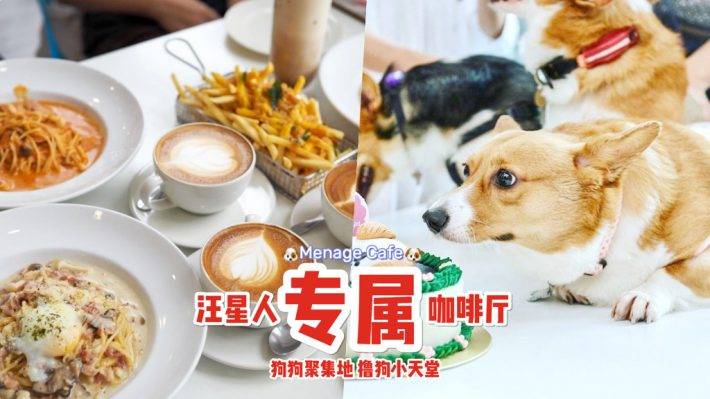 汪星人咖啡厅🐶 满屋萌犬的“Menage Cafe”边吃饭边耍狗！去找毛小孩解解压、透透气😍