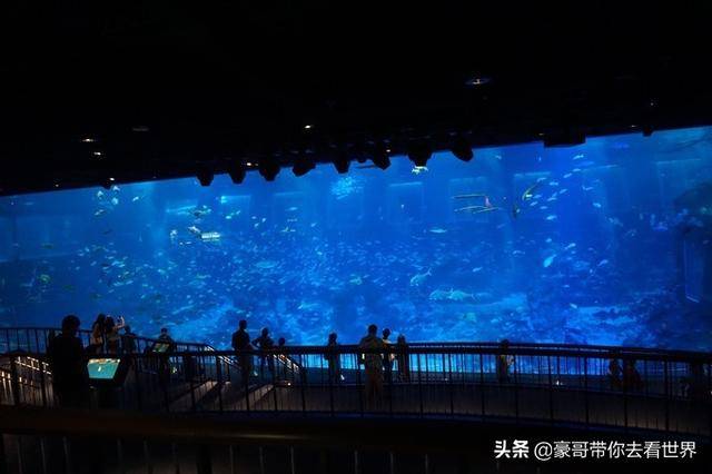 新加坡不枉此行的10大看点（中）分三集介绍