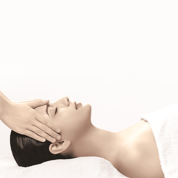 AsterSpring-treatment_crop-SR_small