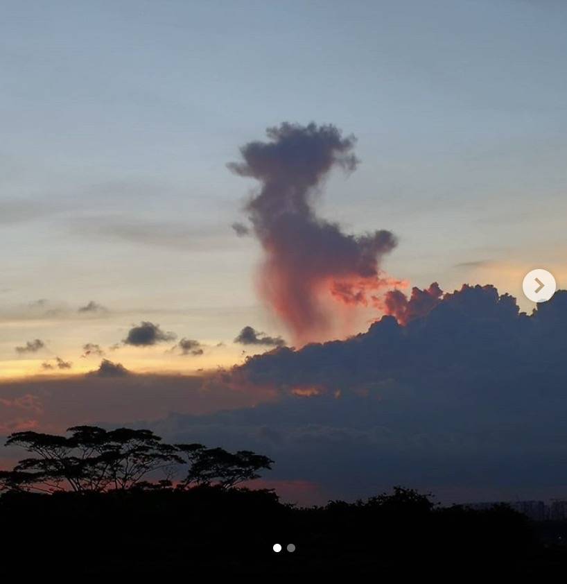 罕见!新加坡圣淘沙这条河变成了粉色,惊现大批死鱼!39年创记录暴雨太作了