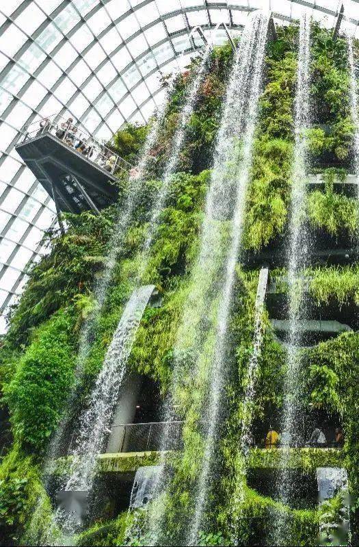 新加坡留学 收藏！新加坡留学福利大盘点，据说女生更适合这里