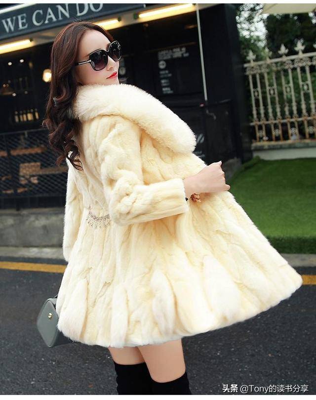 商业思考——新加坡太太们的“貂”，简述什么是“持有价值”