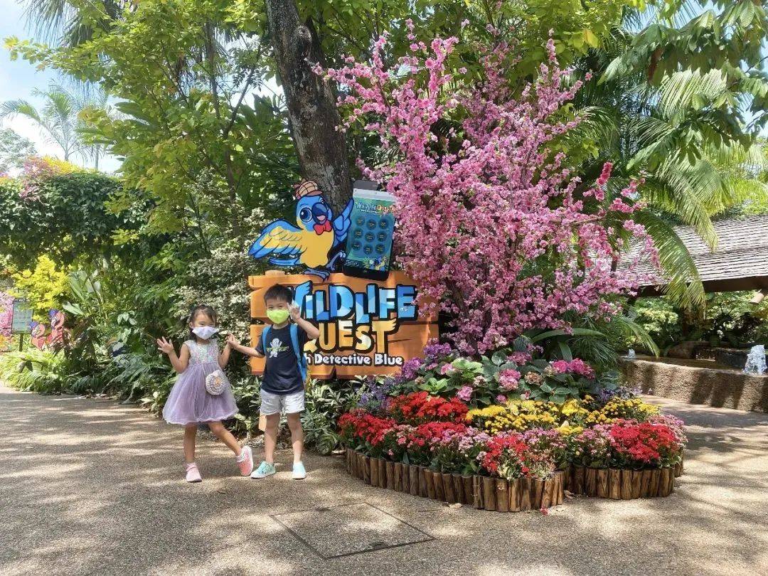新加坡31个孩子超爱的假期活动+游玩攻略，1分不花也能玩