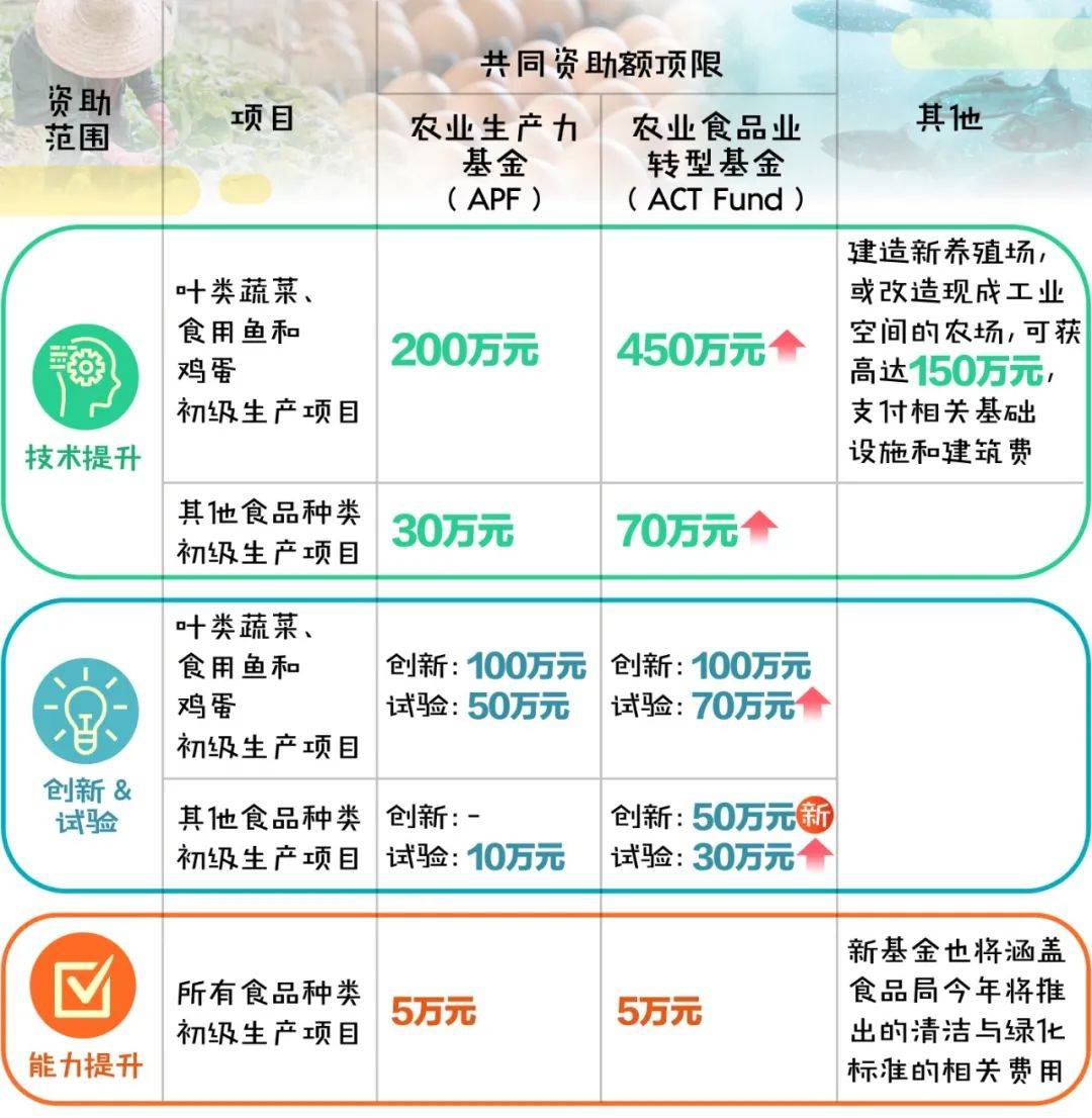 一文盘点：不同领域的新加坡业者能够获得哪些政府援助