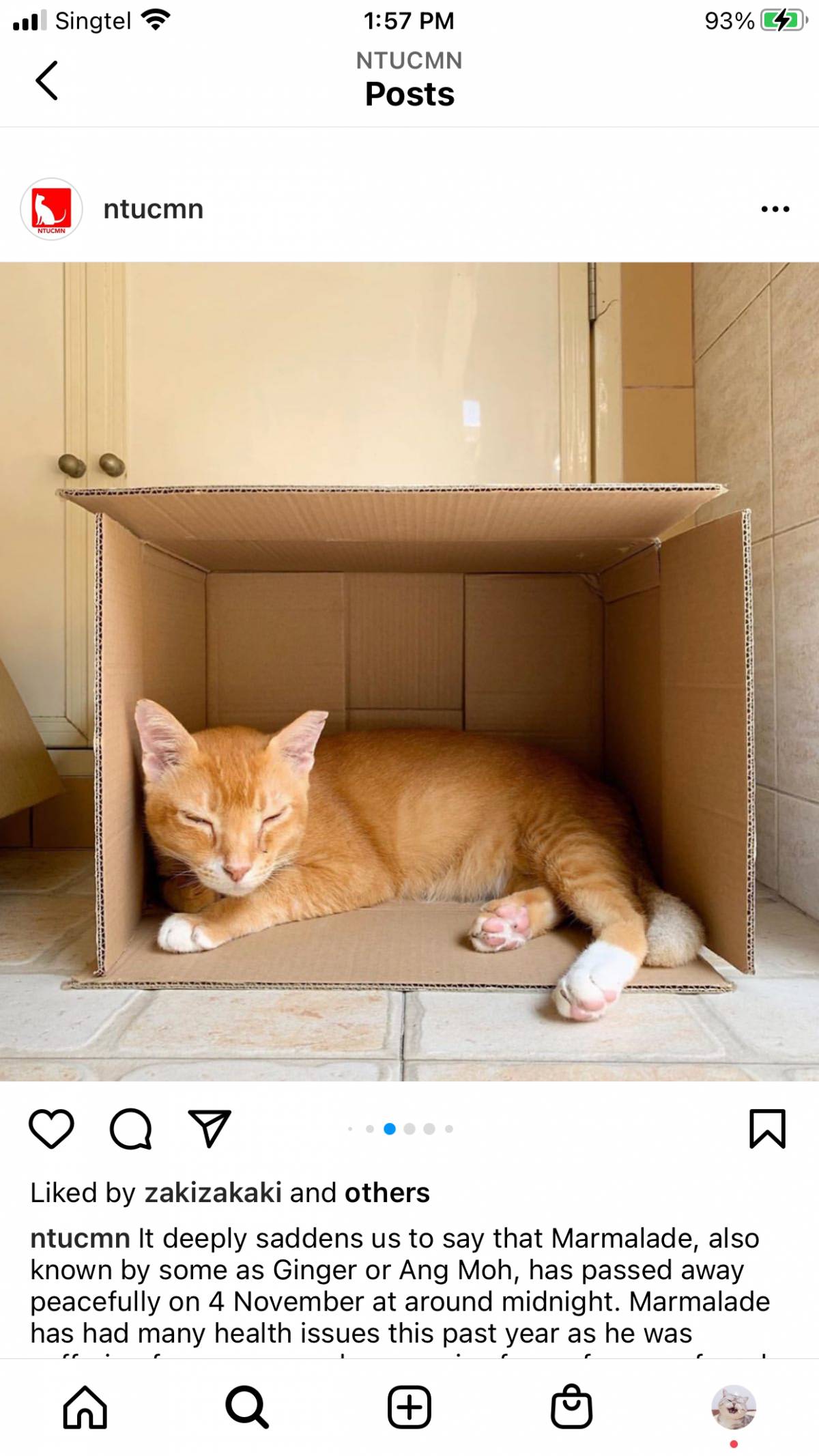 南洋理工大学，每一帧都很美